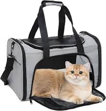 cat boxes and bags