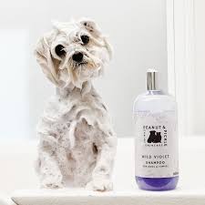 Dog shampoo