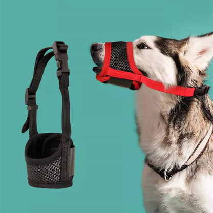 Pet Dog Mouth Protects Against Bites