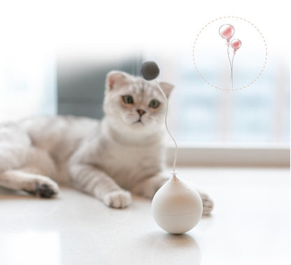 Funny cat electric cat toy