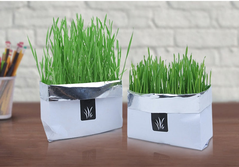 Soilless Organic Cat Grass