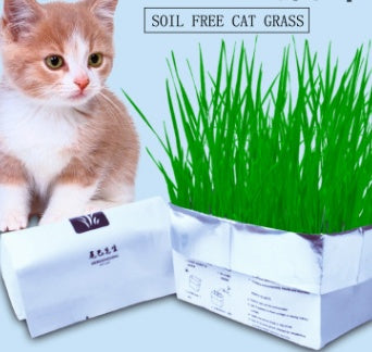 Soilless Organic Cat Grass