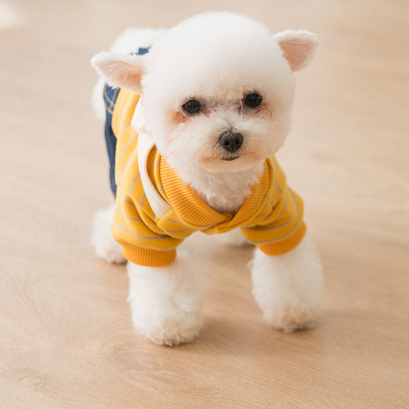 Pet dog clothes autumn and winter