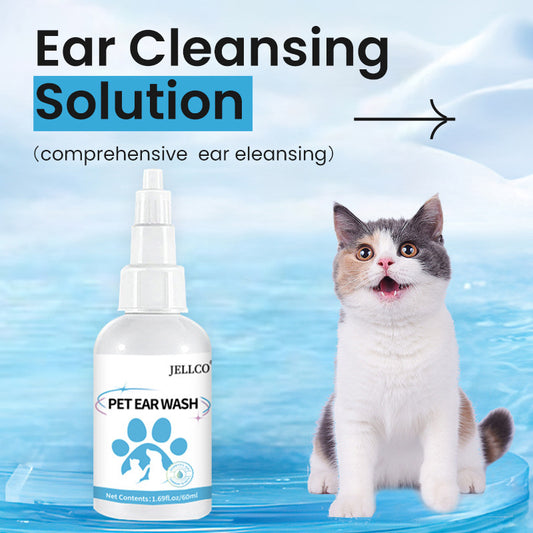 Pet Ear Drop English Version