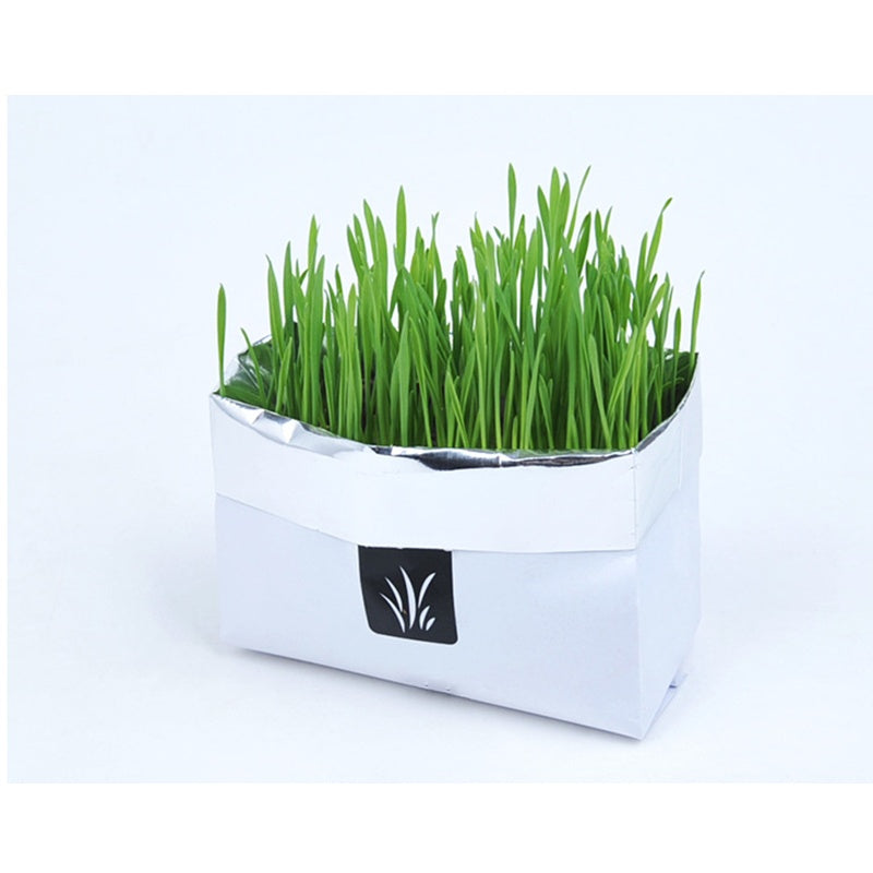 Soilless Organic Cat Grass