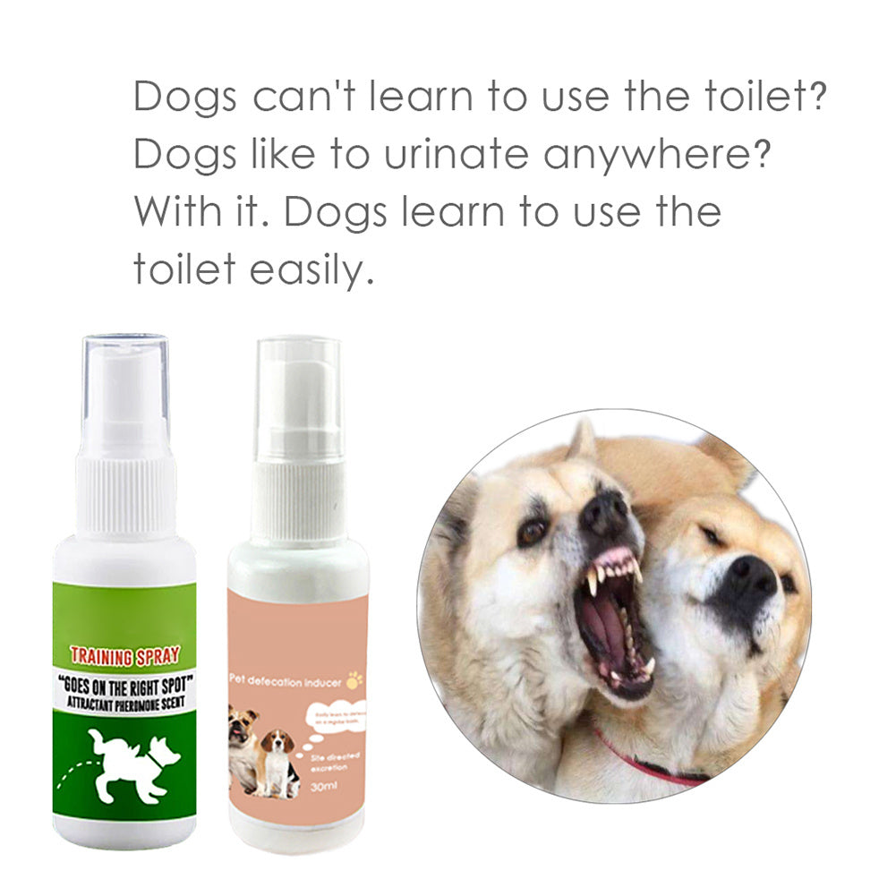 Pet Potty Training Spray