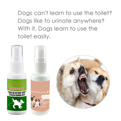 Pet Potty Training Spray