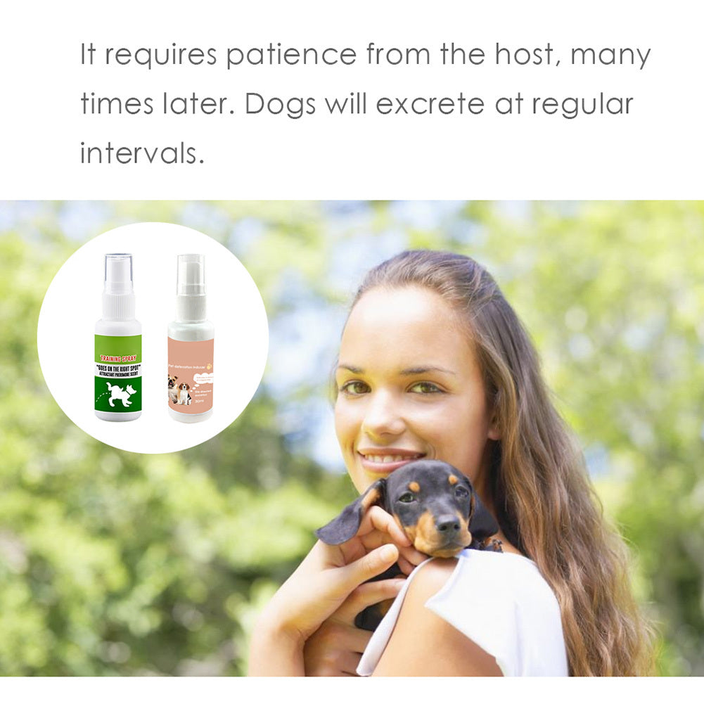 Pet Potty Training Spray