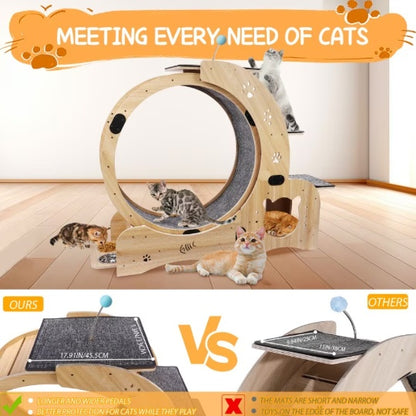 Cat Running Wheel With Silent Wheel