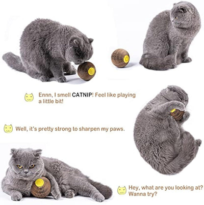 Catnip Ball Toy For Cats Catnip Refillable Scratcher Ball Kitty's Faithful Playmate Reduce Obesity And Loneliness