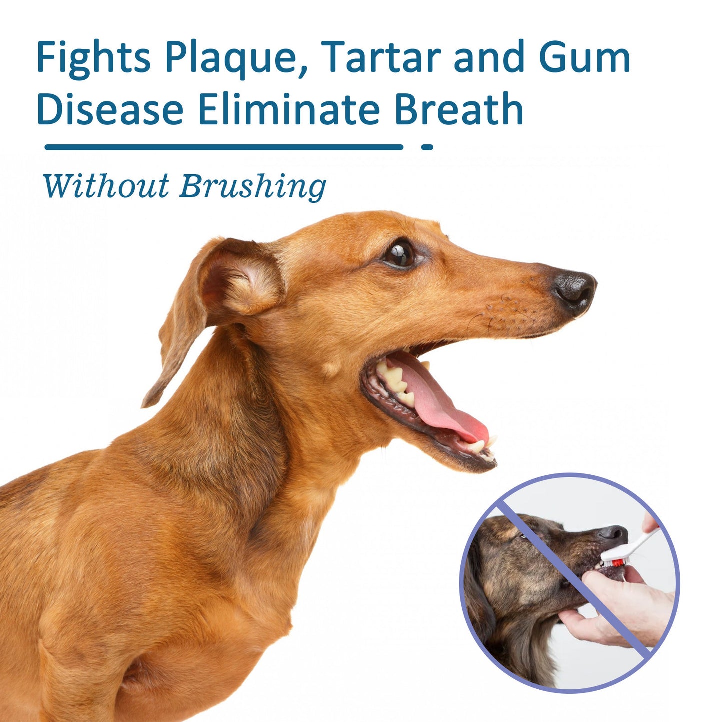 Pet Oral Cleaning Spray Remove Tartar And Bad Breath