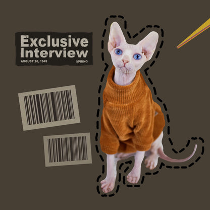 Chenille Hairless Cat Clothes Thickened In Winter