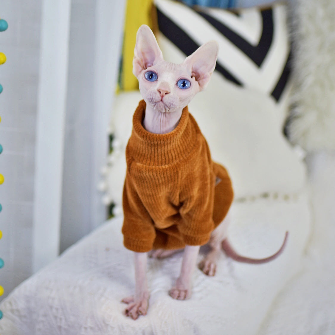 Chenille Hairless Cat Clothes Thickened In Winter