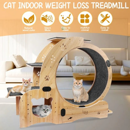 Cat Running Wheel With Silent Wheel