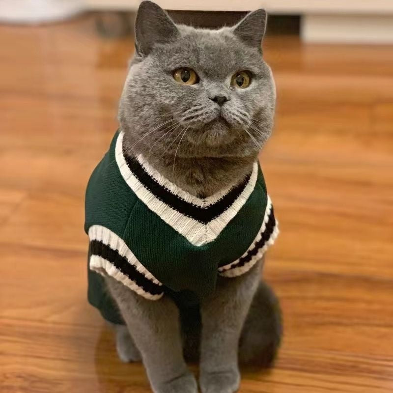 Cat Clothes Warm British Shorthair Blue Cat Silver Gradual Layer College Style Winter Clothes Puppy Supplies